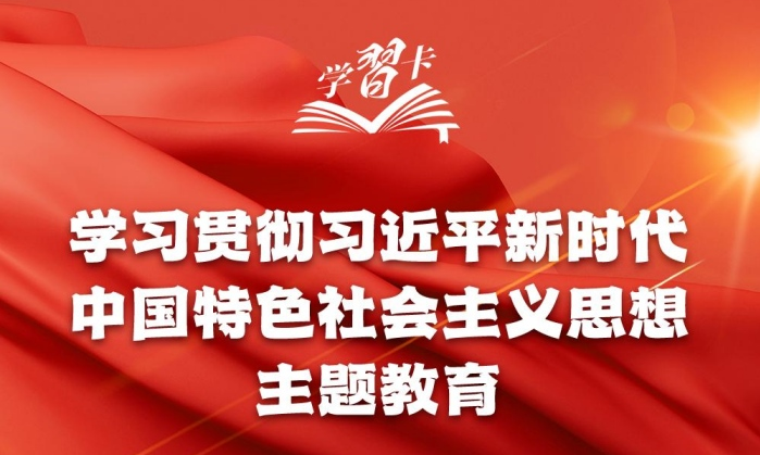 学习卡丨主题教育贯穿全年，一图全解重要知识点